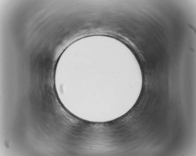 X0000099321512200805301205