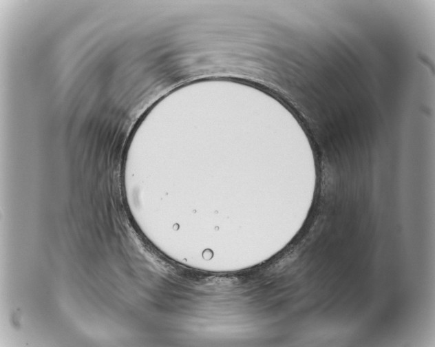 X0000099321513200805301205