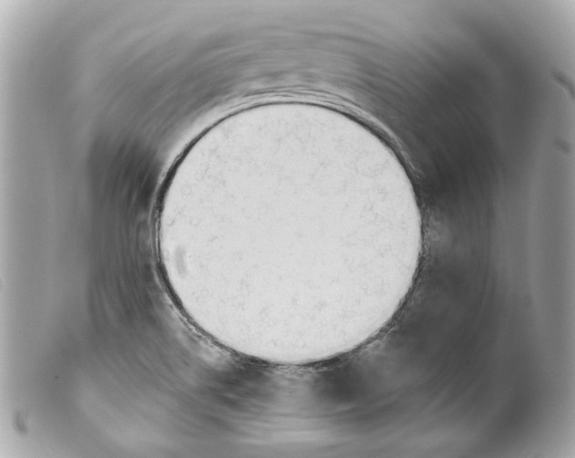 X0000099321514200805301205