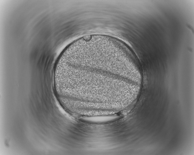 X0000099321515200805301205