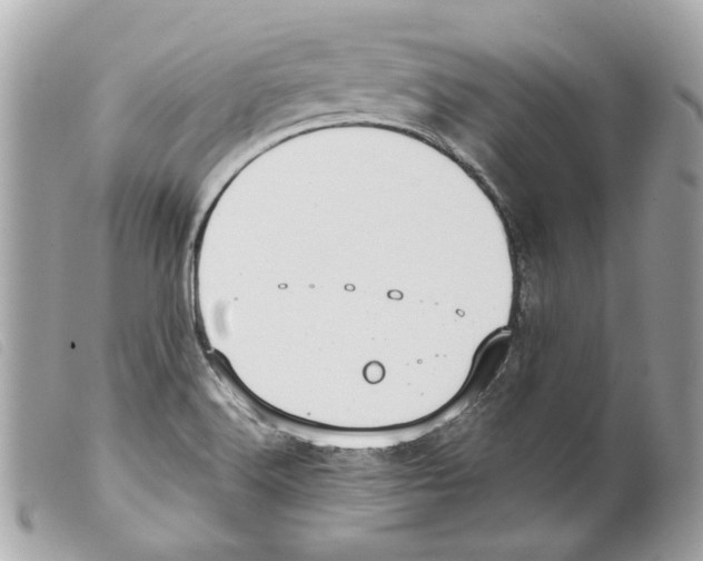 X0000099321516200805301205