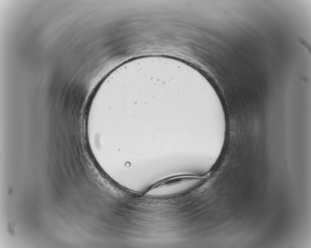 X0000099321517200805301205