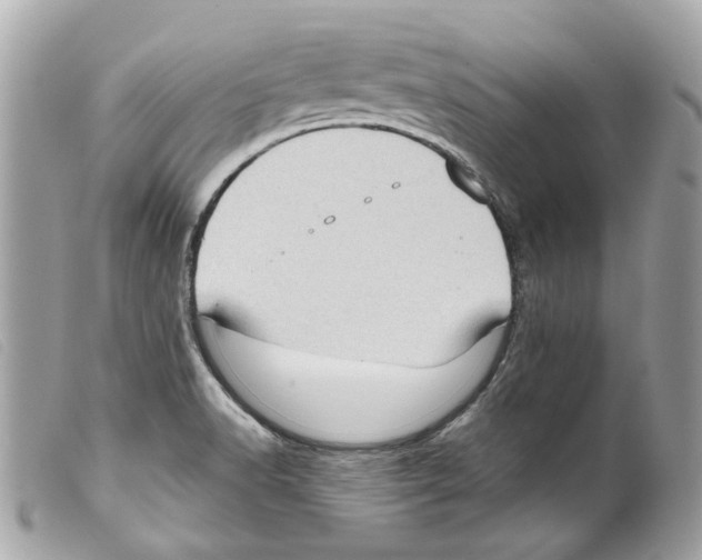 X0000099321518200805301205