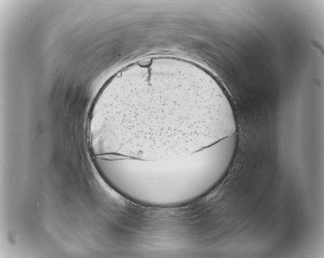 X0000099321519200805301205