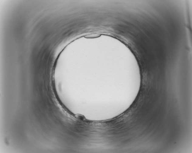 X0000099321520200805301205