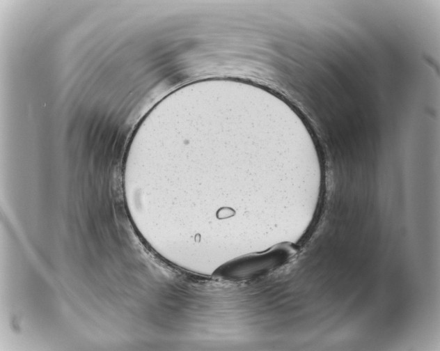 X0000099321521200805301205