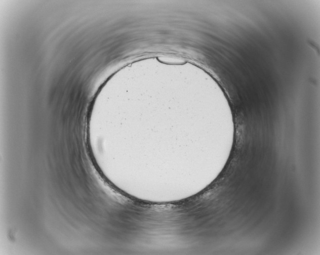 X0000099321523200805301205