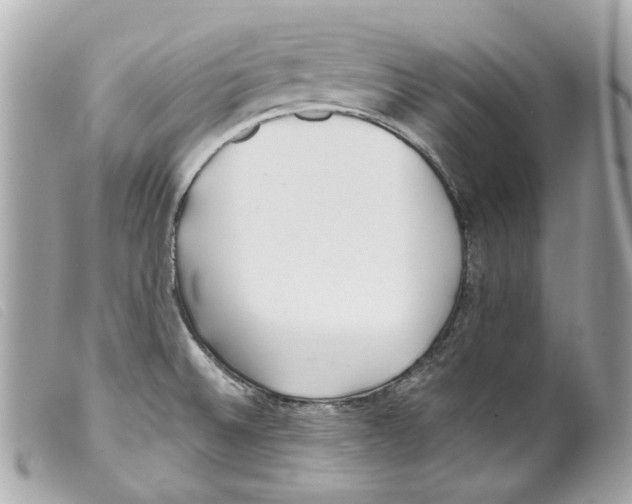 X0000099321524200805301205