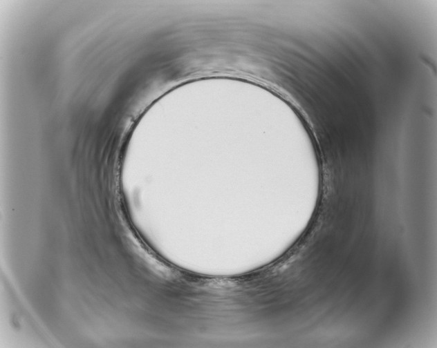 X0000099321525200805301205