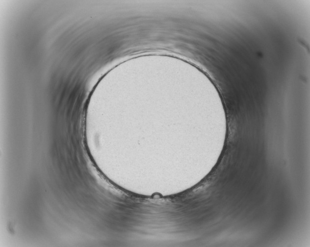 X0000099321526200805301205