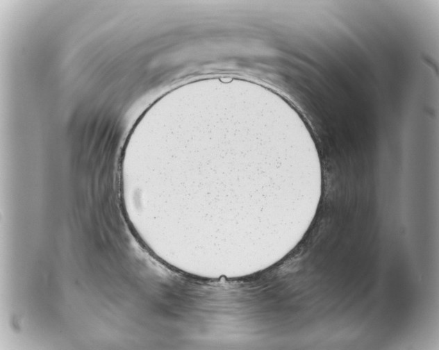 X0000099321527200805301205