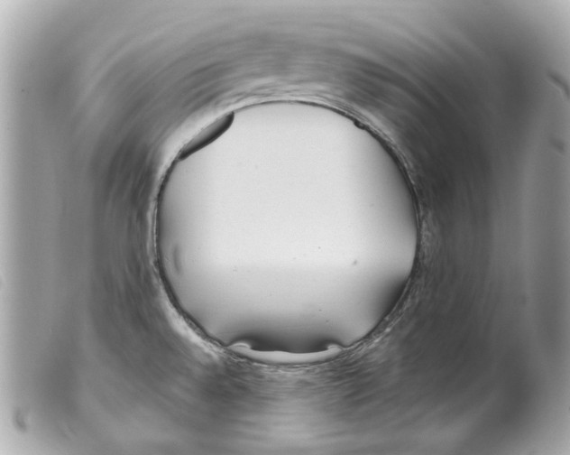 X0000099321528200805301205