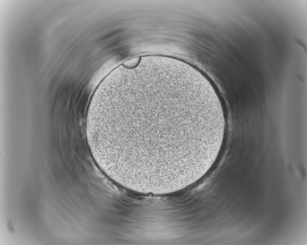 X0000099321529200805301205