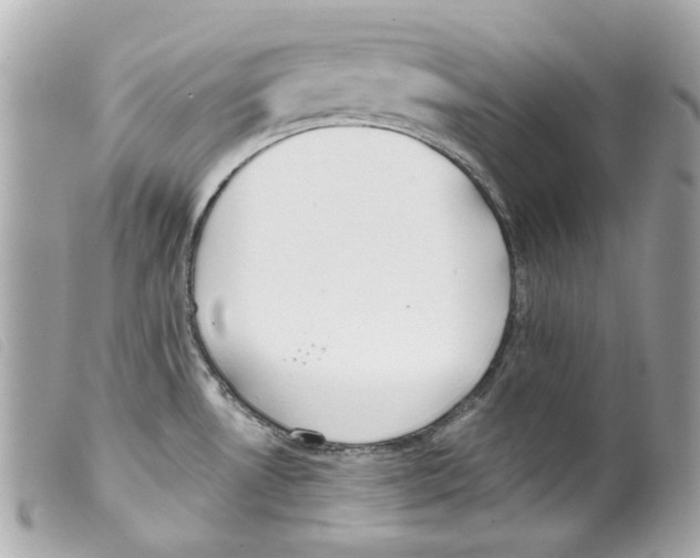 X0000099321530200805301205