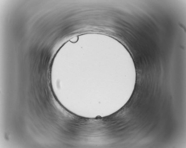 X0000099321531200805301205