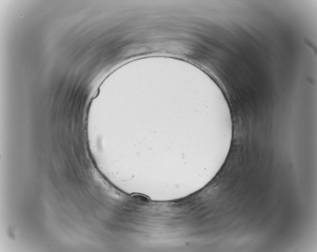 X0000099321532200805301205