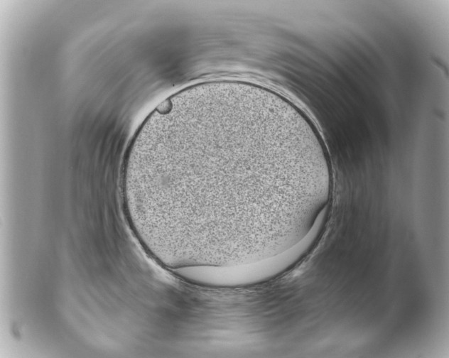 X0000099321533200805301205