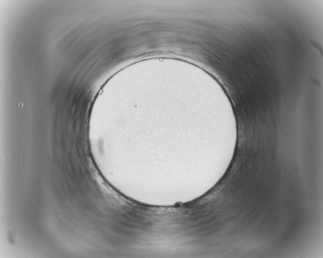 X0000099321534200805301205