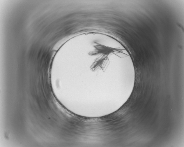 X0000099321535200805301205