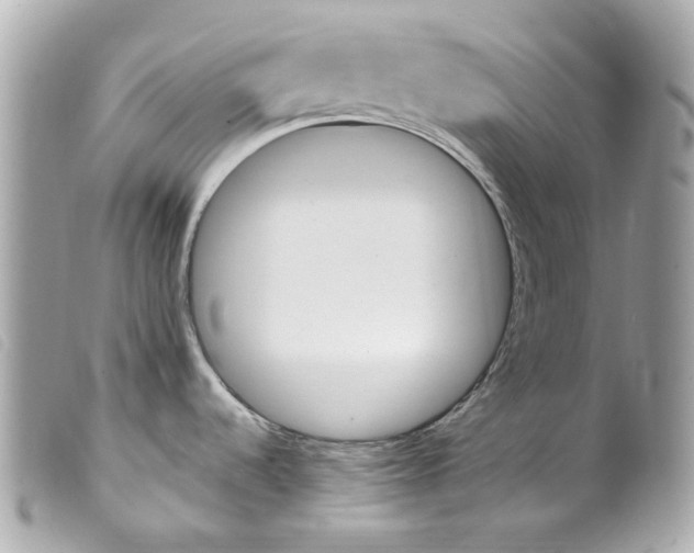 X0000099321536200805301205