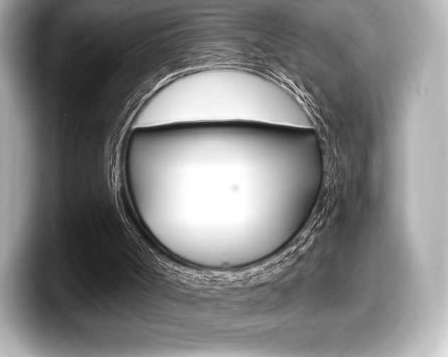 X0000099380002200805081209