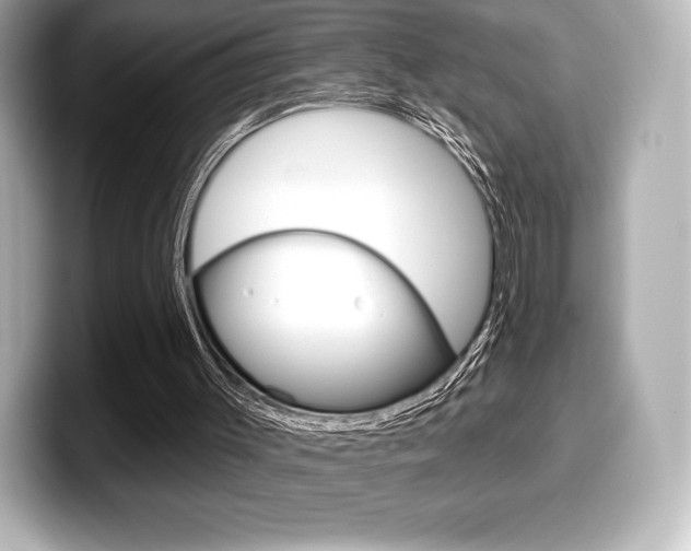 X0000099380003200805081209