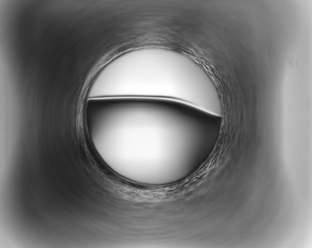 X0000099380004200805081209