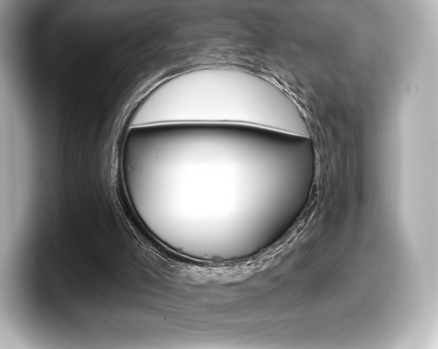 X0000099380005200805081209