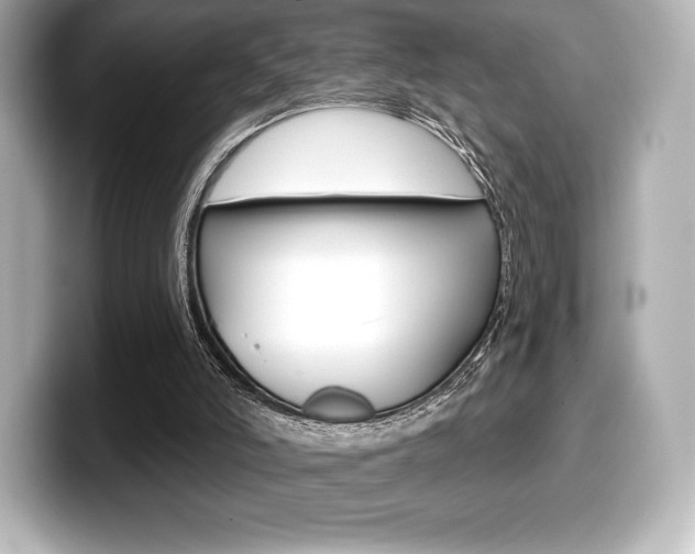 X0000099380006200805081209