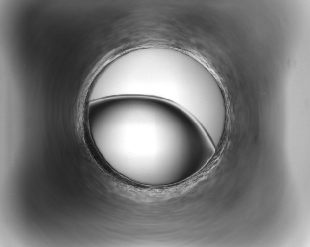 X0000099380007200805081209