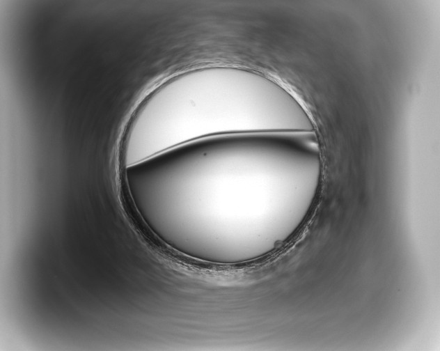 X0000099380008200805081209