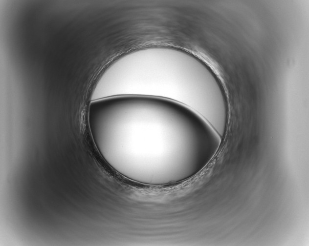 X0000099380009200805081209