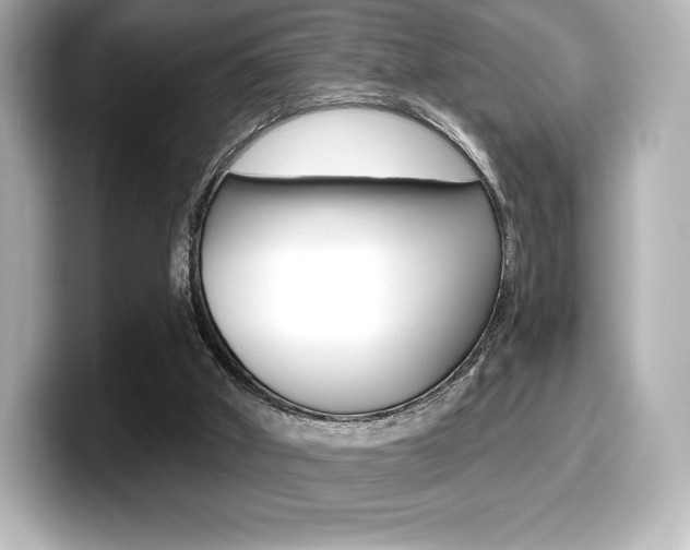 X0000099380010200805081209