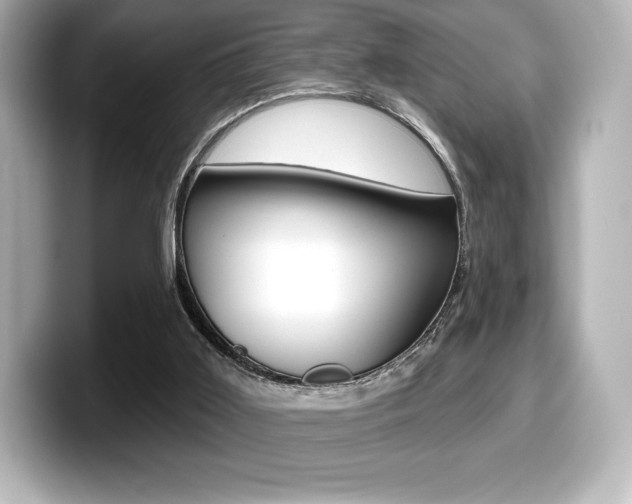 X0000099380011200805081209