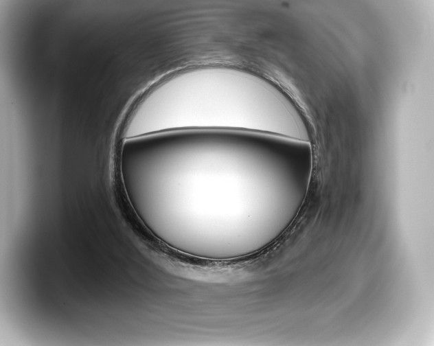 X0000099380012200805081209