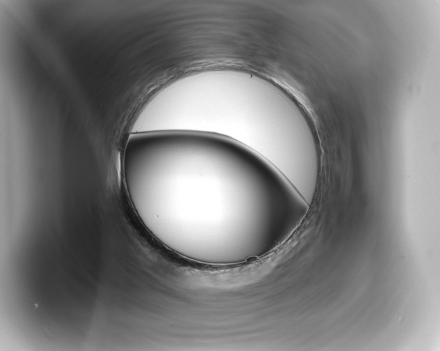 X0000099380013200805081209