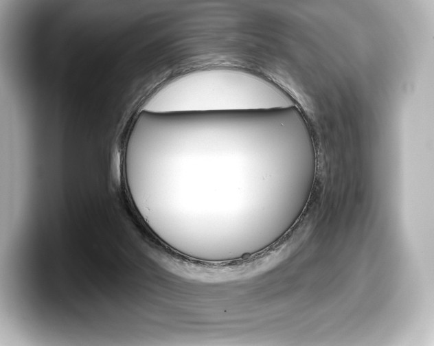 X0000099380014200805081209