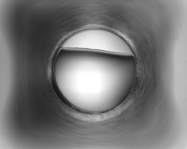 X0000099380015200805081209