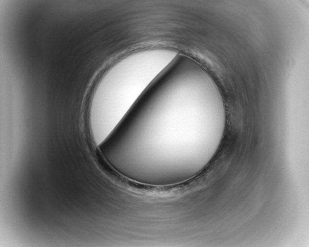 X0000099380016200805081209