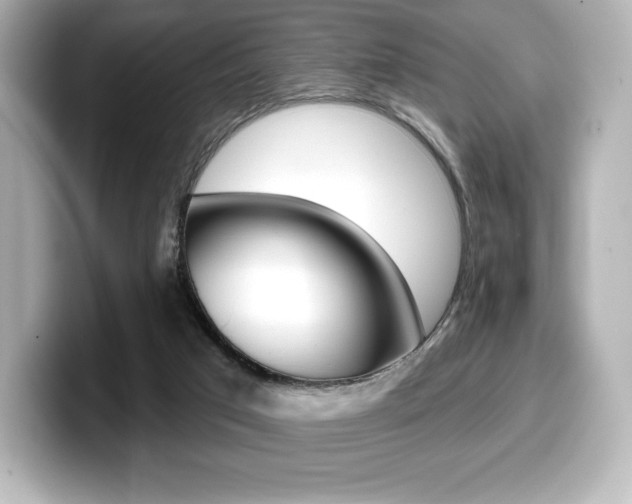 X0000099380017200805081209