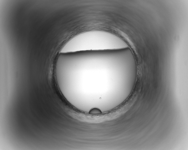 X0000099380018200805081209