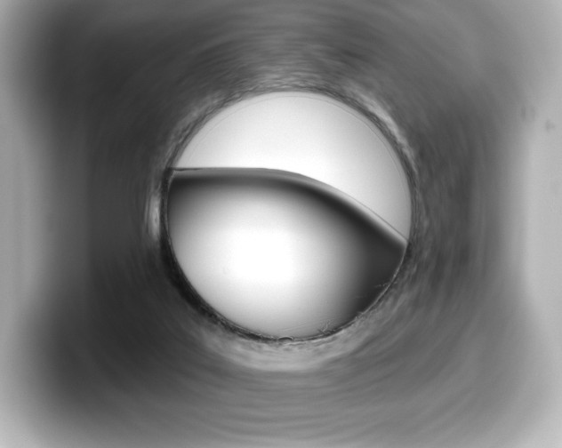 X0000099380019200805081209