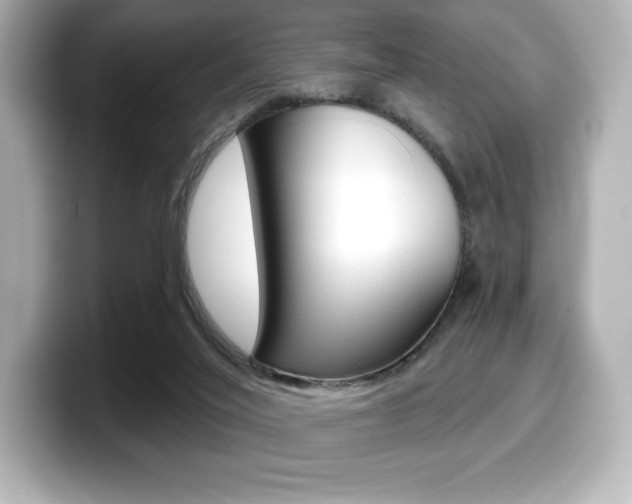 X0000099380020200805081209