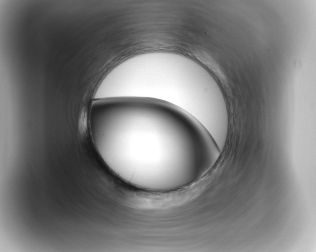 X0000099380021200805081209