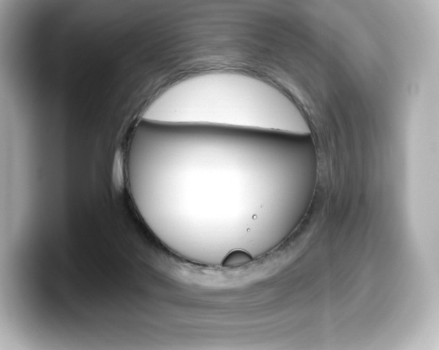 X0000099380022200805081209