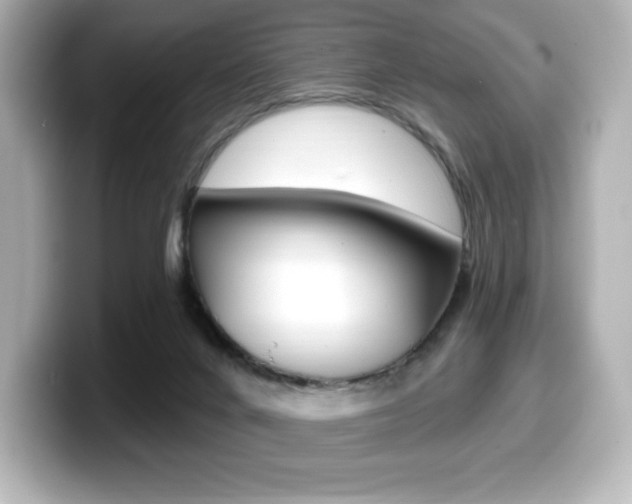 X0000099380024200805081209