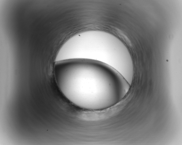 X0000099380025200805081209