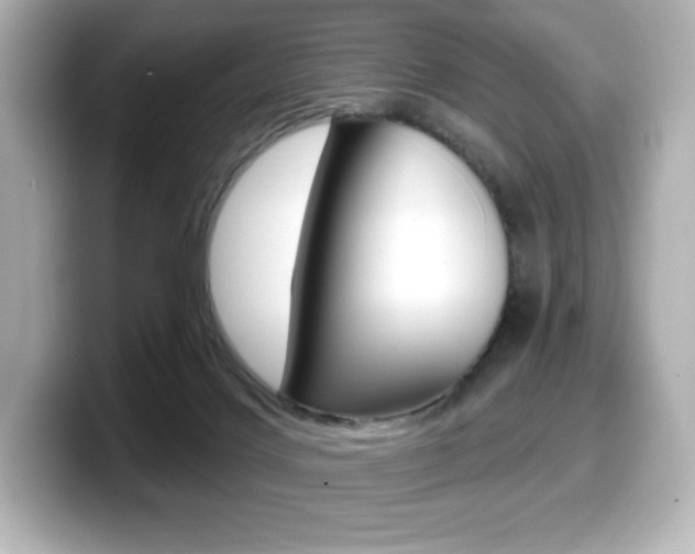 X0000099380028200805081209