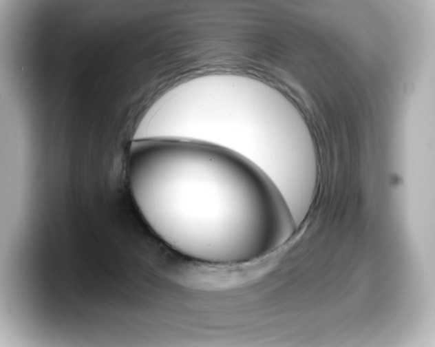 X0000099380029200805081209