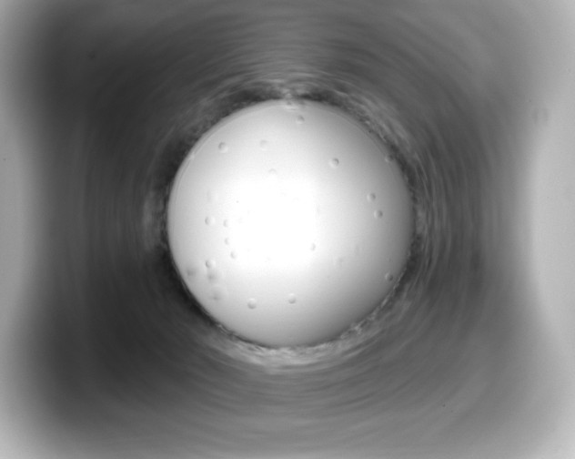 X0000099380030200805081209